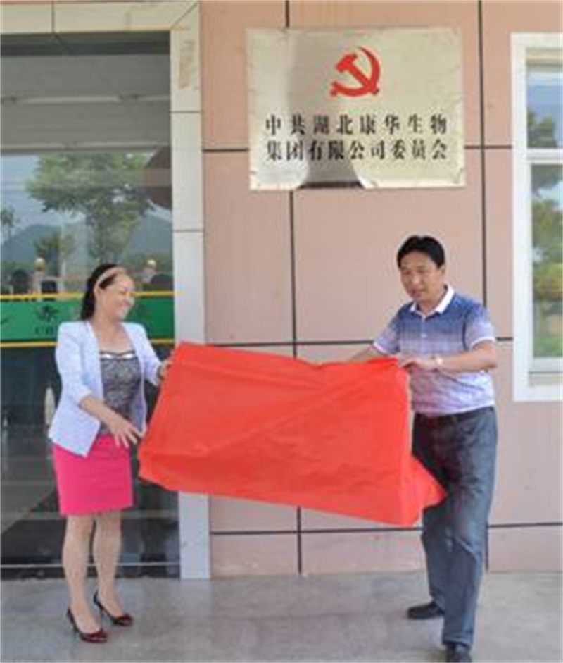 赤壁市首个民营企业党委在康华集团组建成立