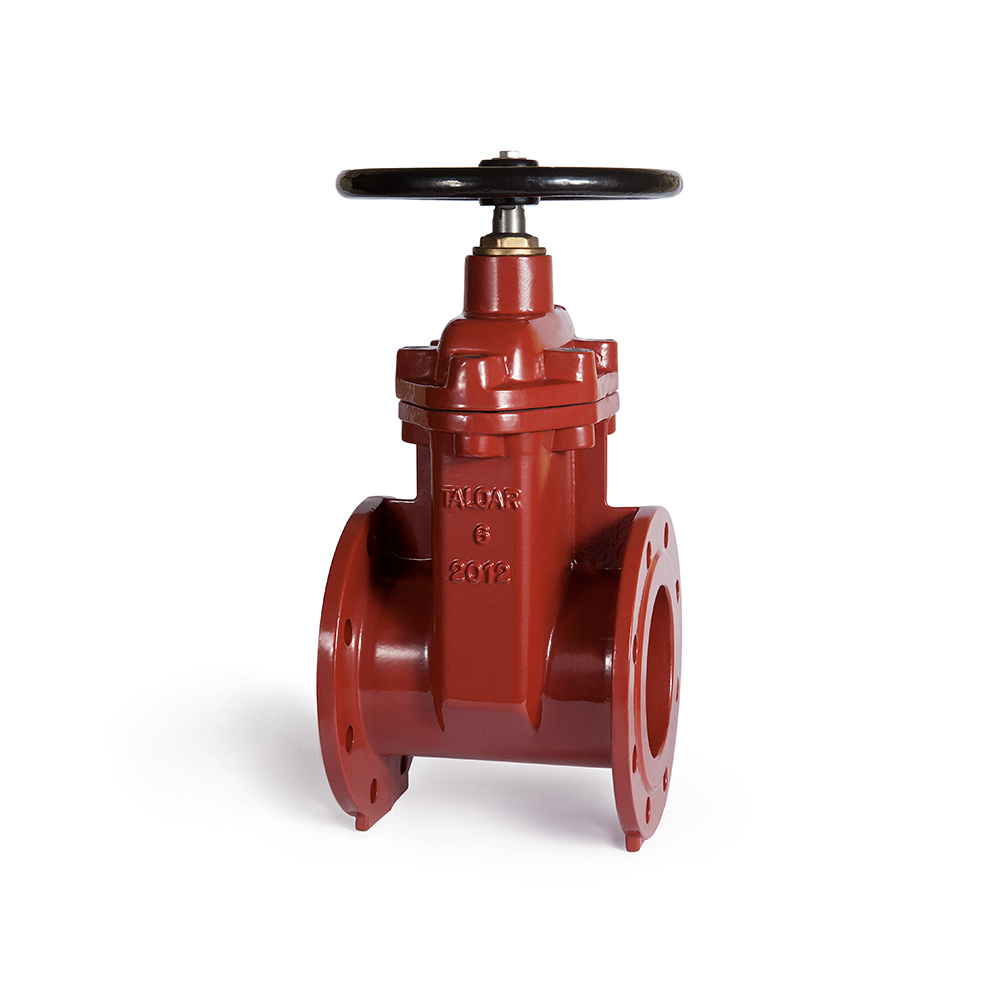 Ductile iron gate valves <br>FG975-EN