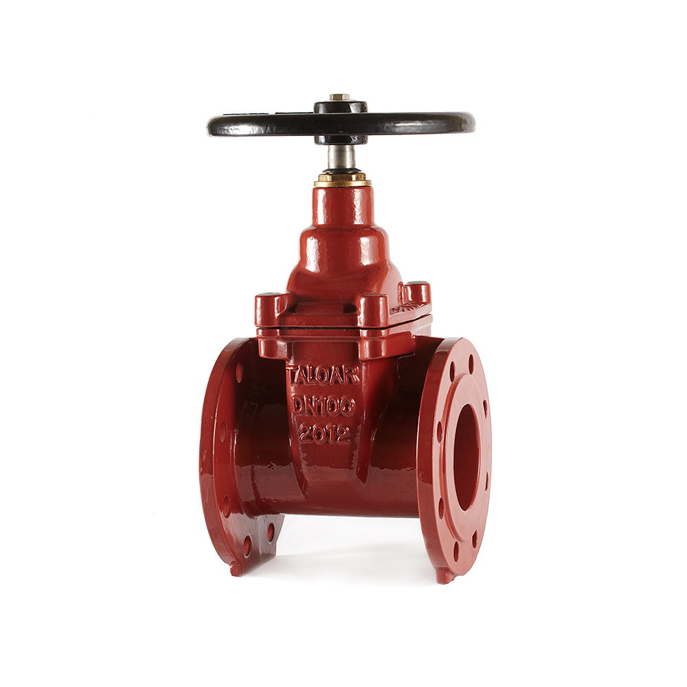 Ductile iron gate valves <br>FG970-EN