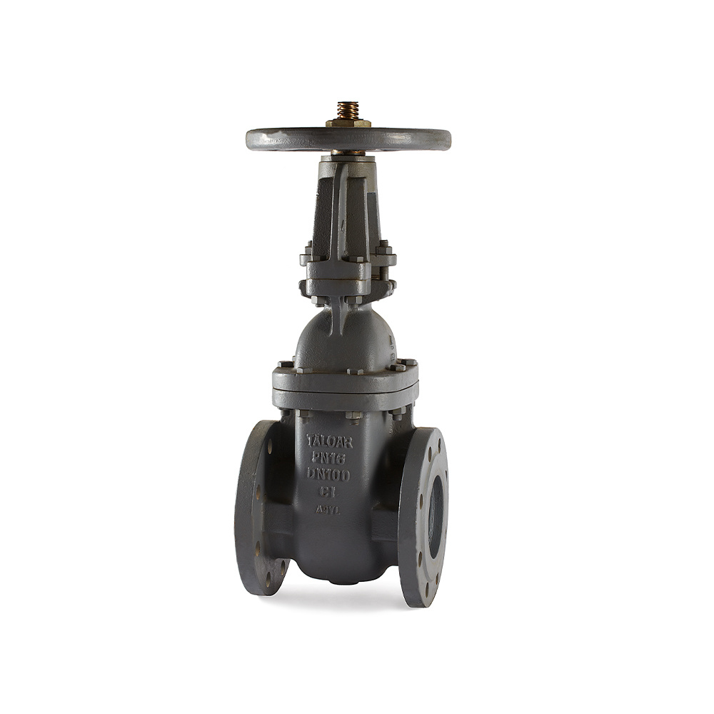 Iron gate valves MG670-R