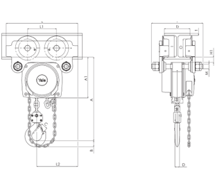 Yalelit ITG ATEX.500-3000 kg.Single chain