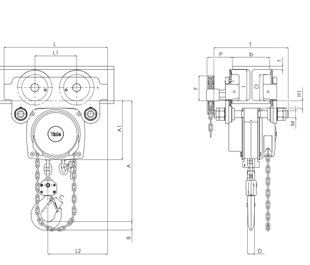 Yalelift ITP ATEX.500-3000 kg. Single chain