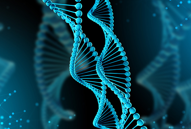 【耀文解读】mRNA poly(A)尾在基因表达调控中的作用