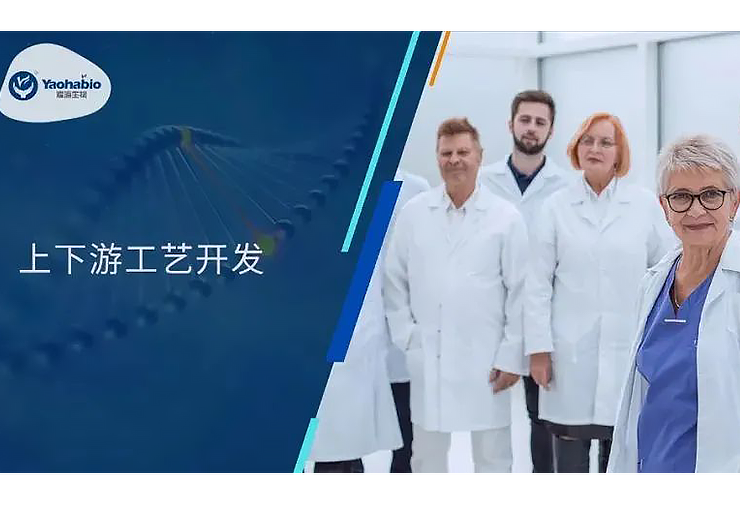 Yaohai Bio-Service | 上下游工艺开发服务概览