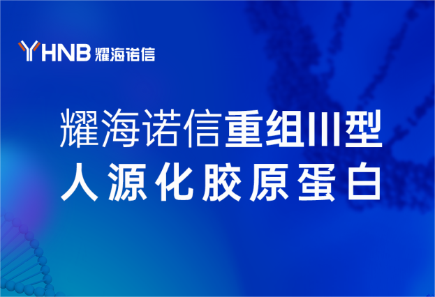 热烈祝贺 | 耀海诺信无菌级重组III型人源化胶原蛋白原料量产成功！