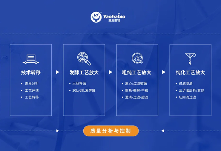 Yaohai Bio-Service | 重组质粒中试放大服务概览